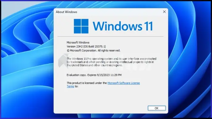 download windows 11 all version