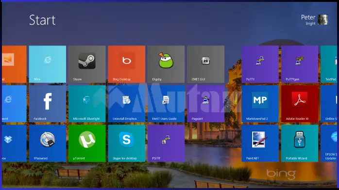 windows 8.1