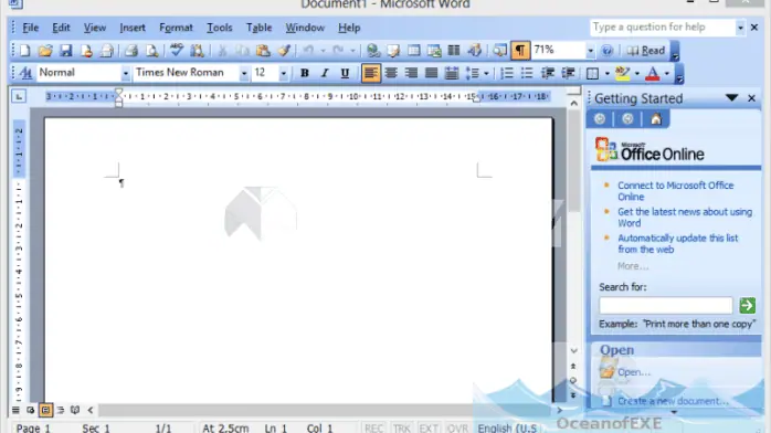 Microsoft Office Professional 2003 SP3